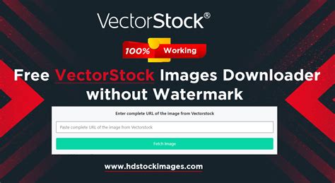 vectorstock downloader.